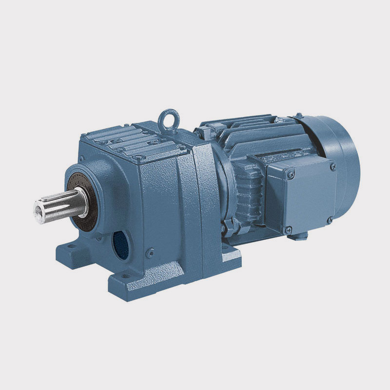 D Series Solid Shaft Shaft Helical Motor Standard AC Motor